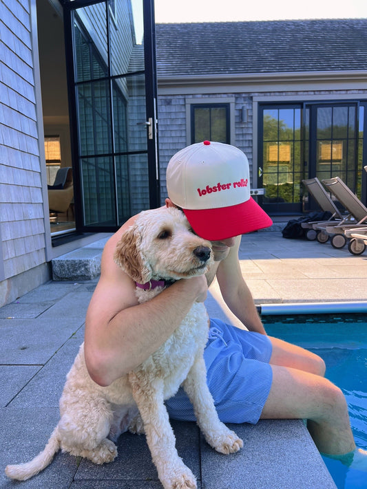 Lobster Rolls? 5-Panel Hat